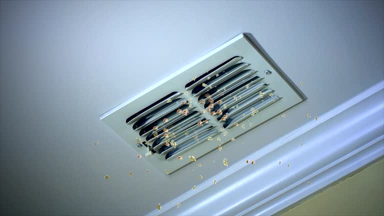 Best Dryer Vent Cleaning Services  in Boiling Springs, PA