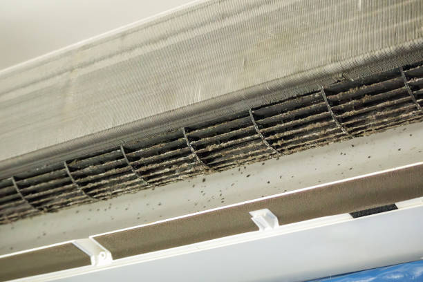 Best Air Duct Inspection  in Boiling Springs, PA
